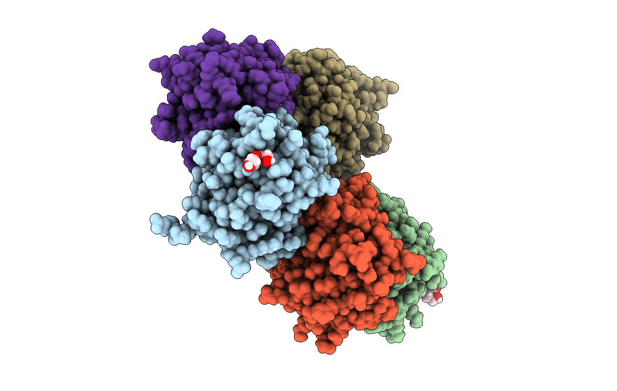 4I3B image