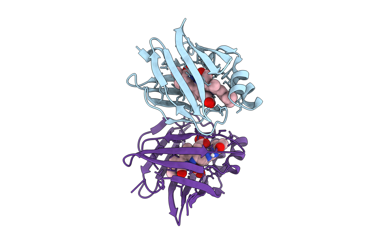 4I3C image
