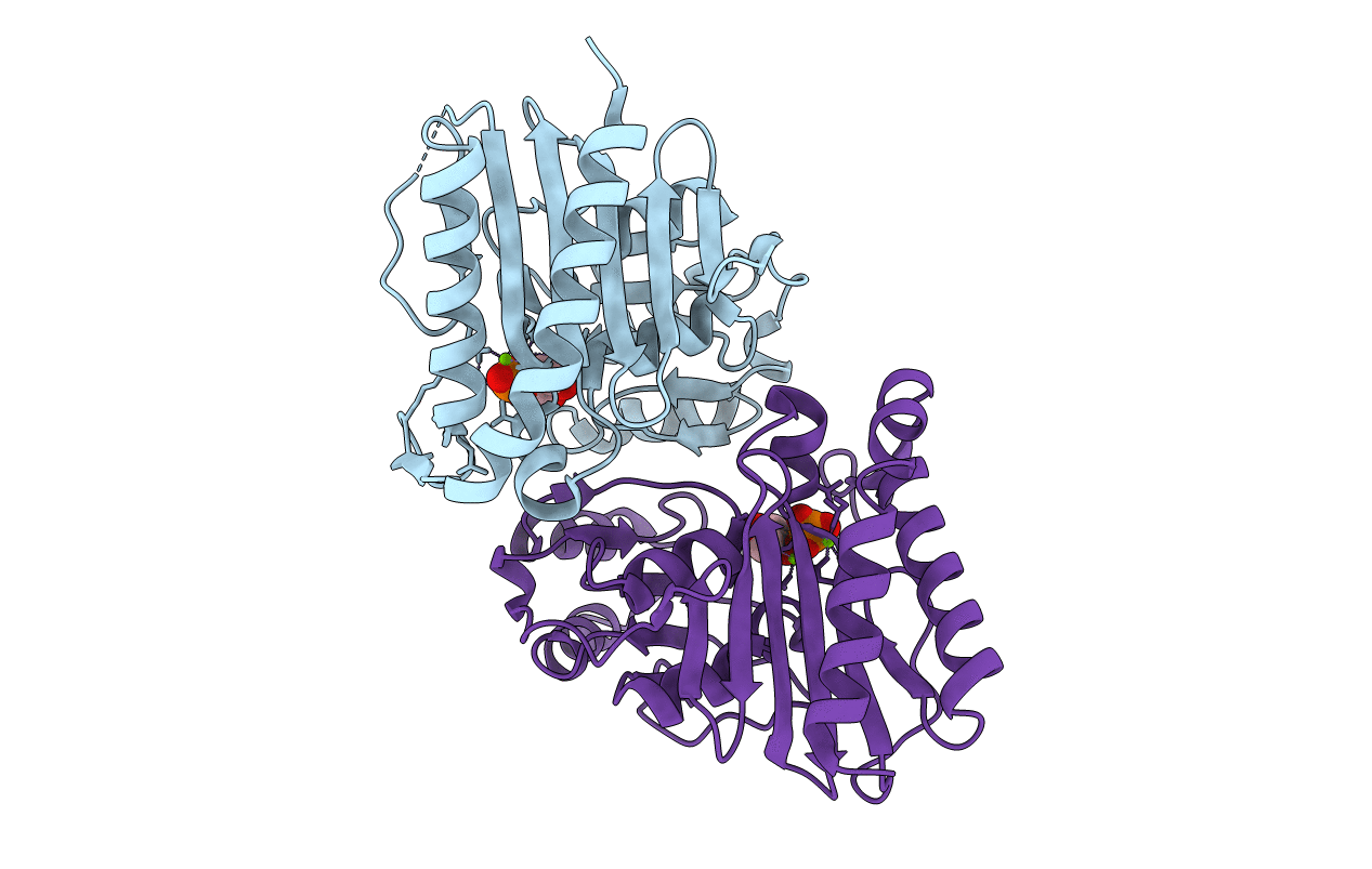 4I3E image