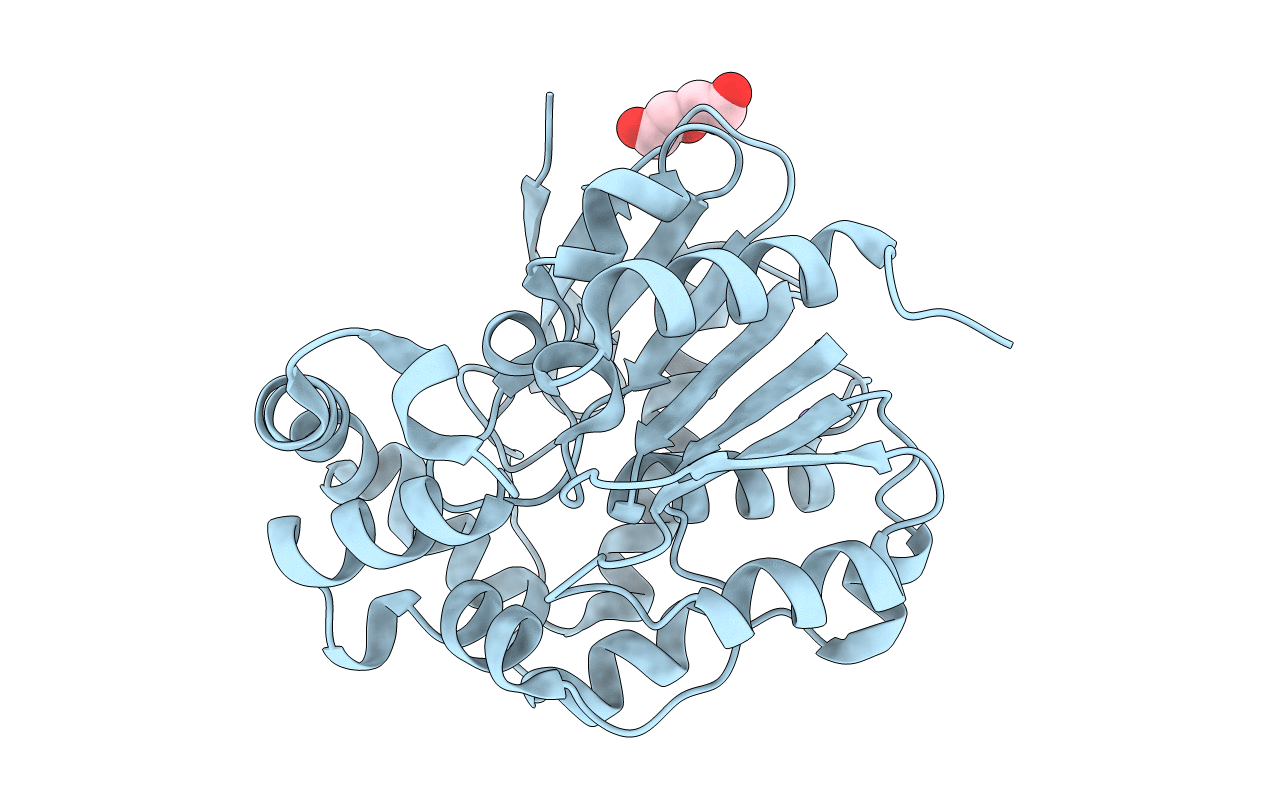 4I3F image