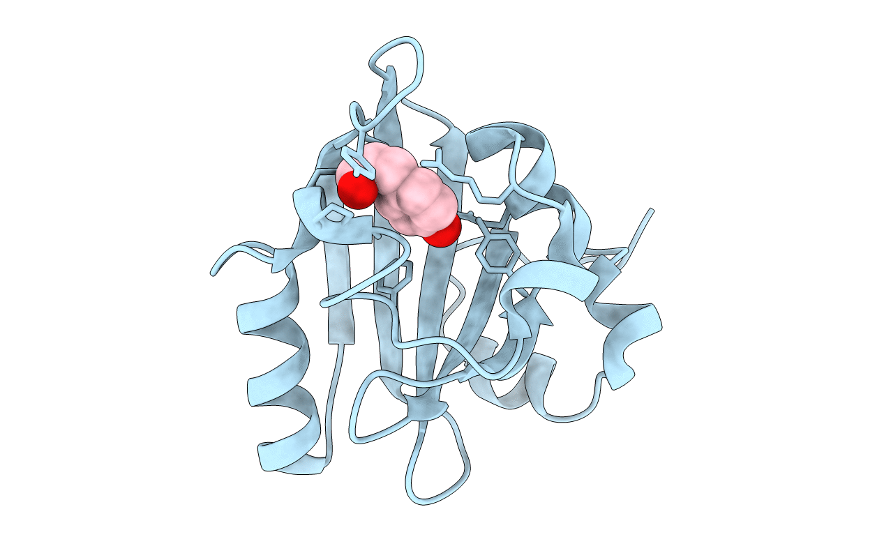 4I3I image