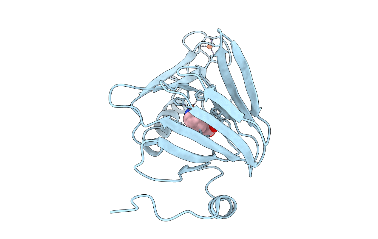 4I3P image