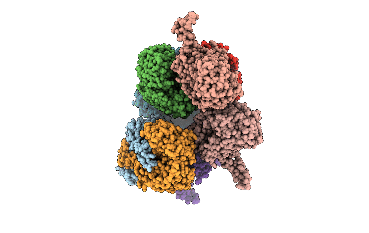4I3T image