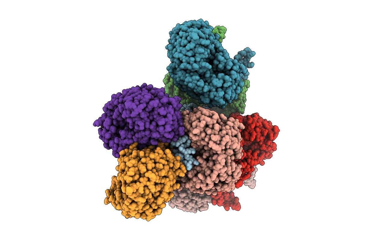 4I3U image