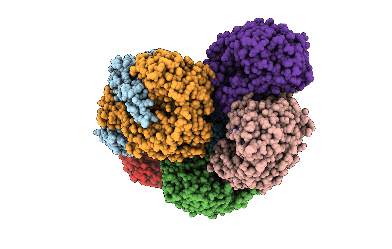 4I3W image