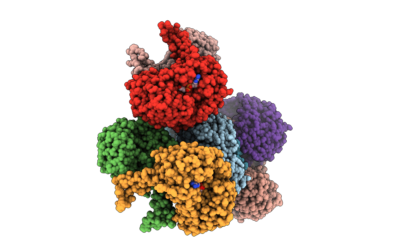 4I3X image