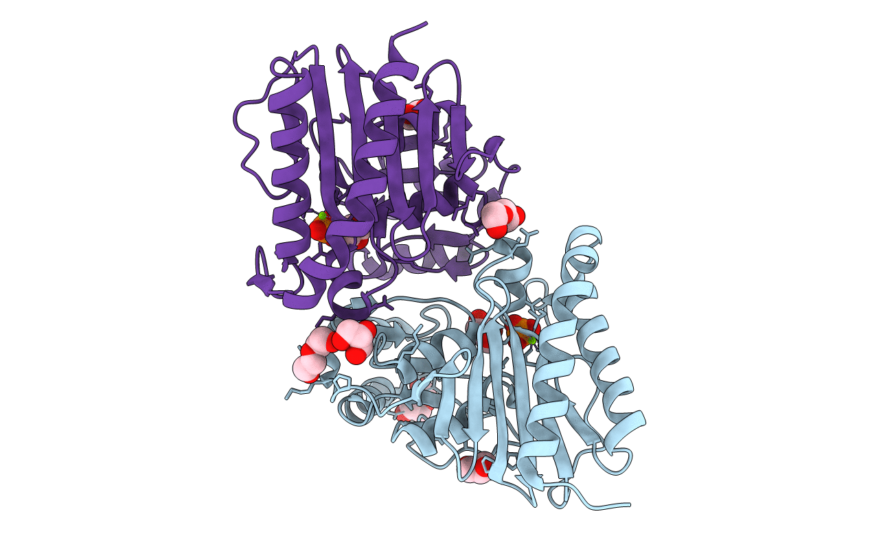 4I3Y image