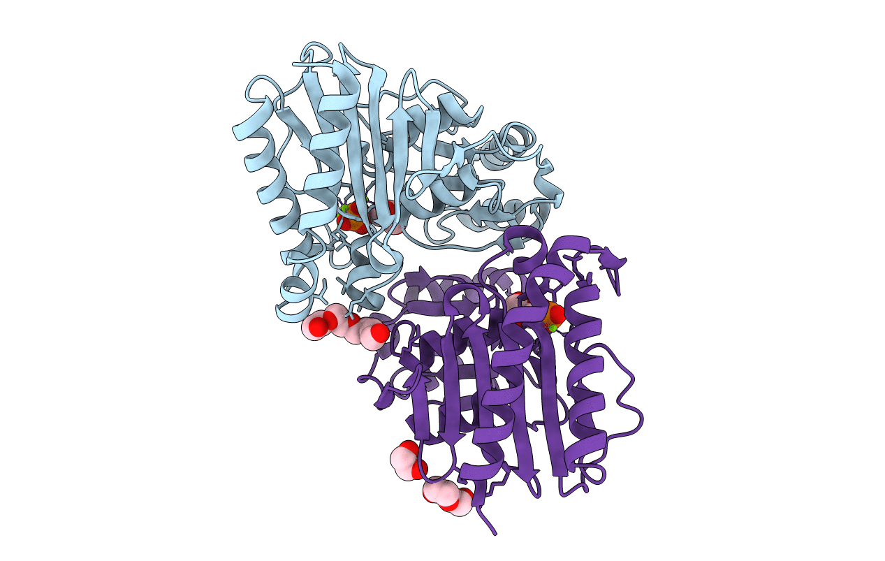 4I40 image