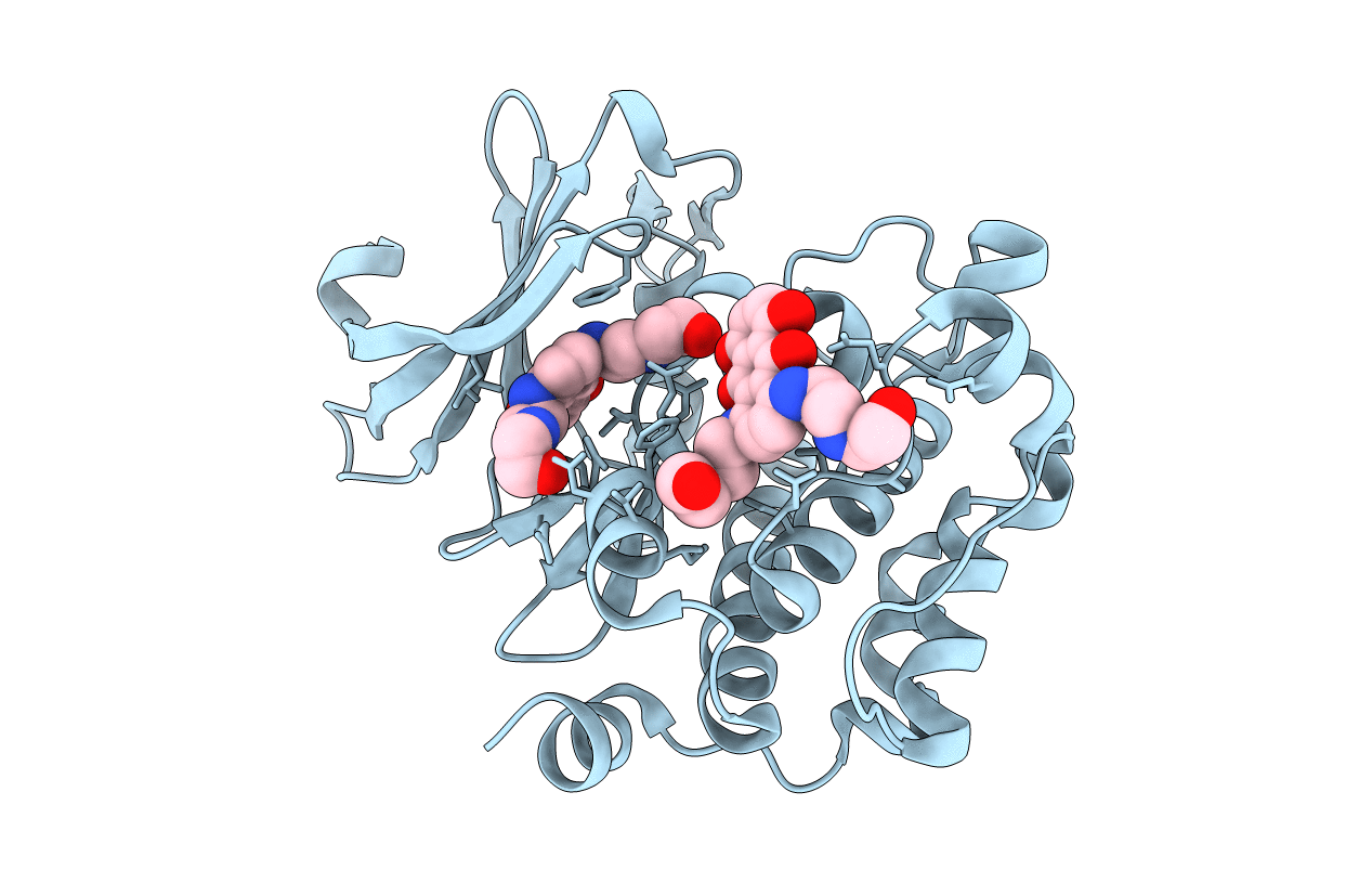 4I41 image
