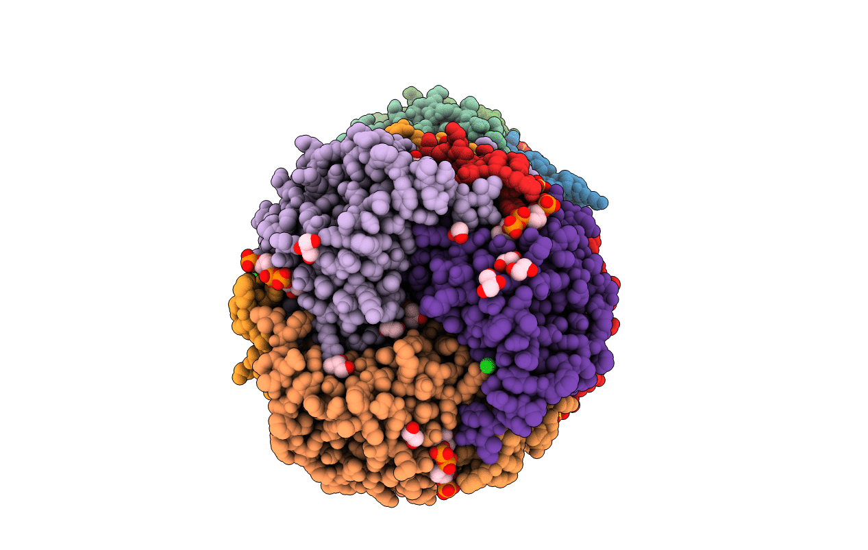 4I42 image