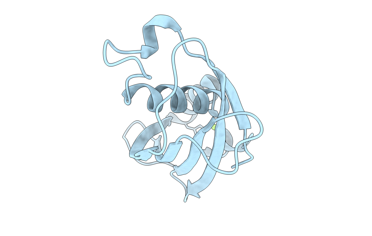 4I45 image