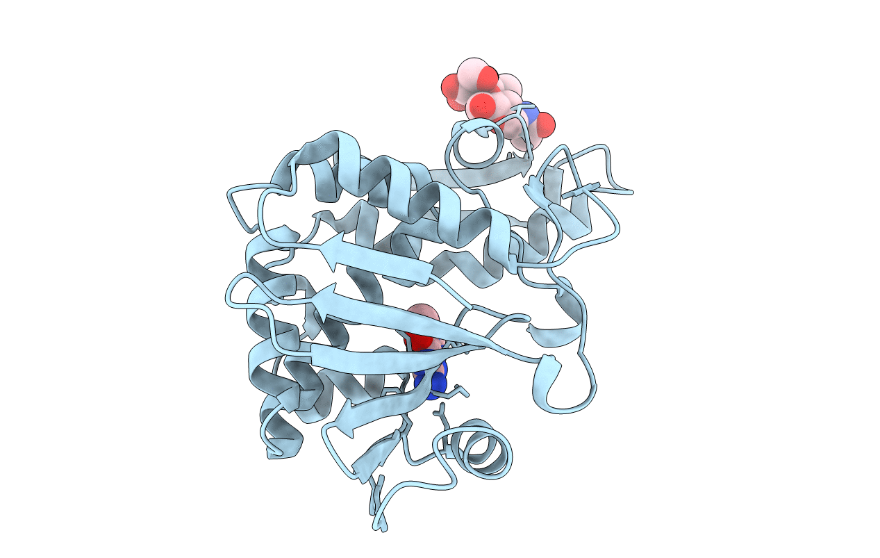 4I47 image