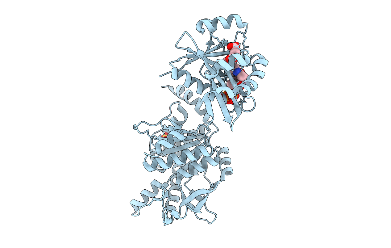4I49 image