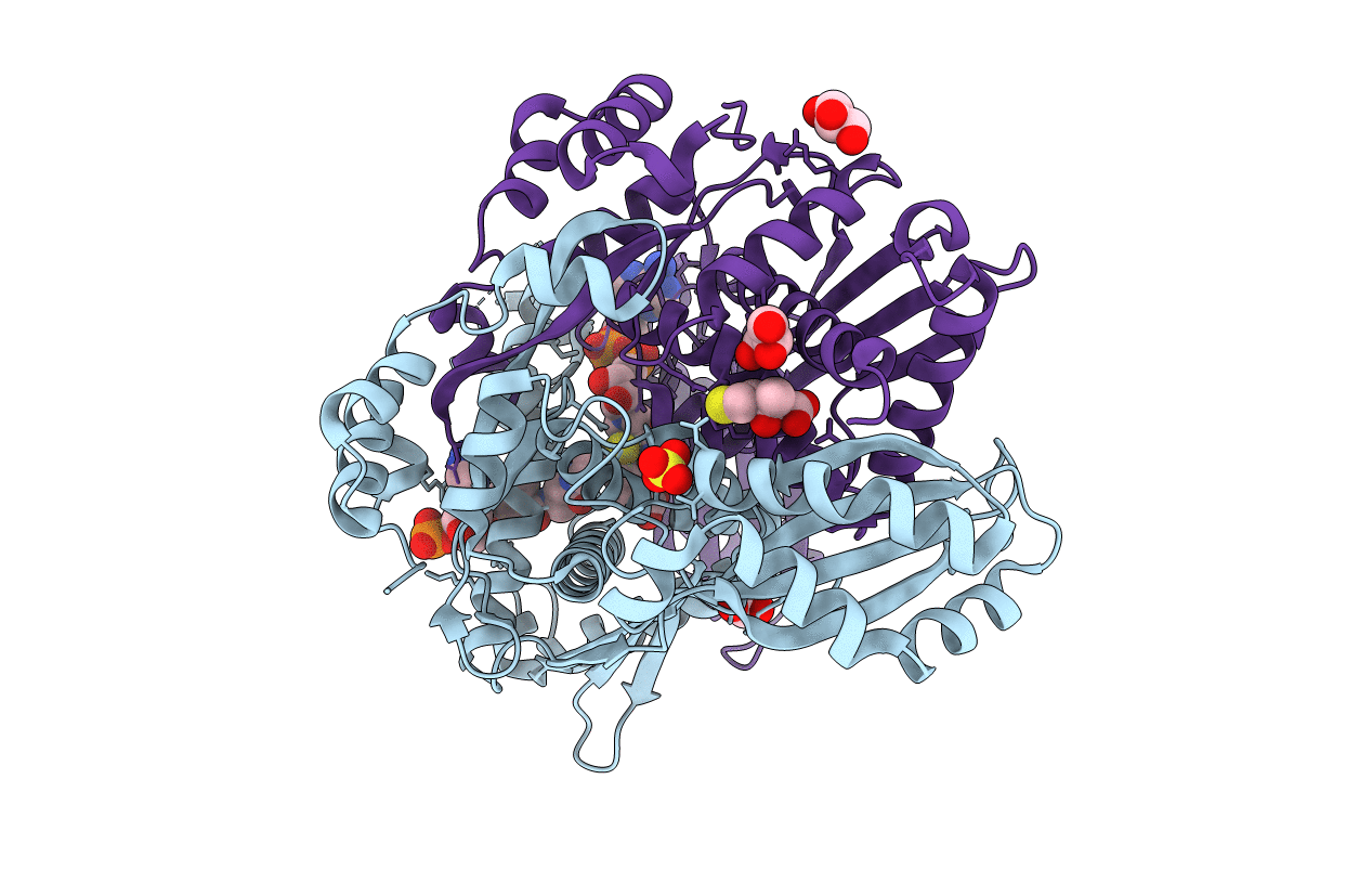 4I4B image