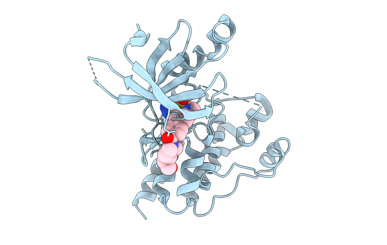 4I4E image