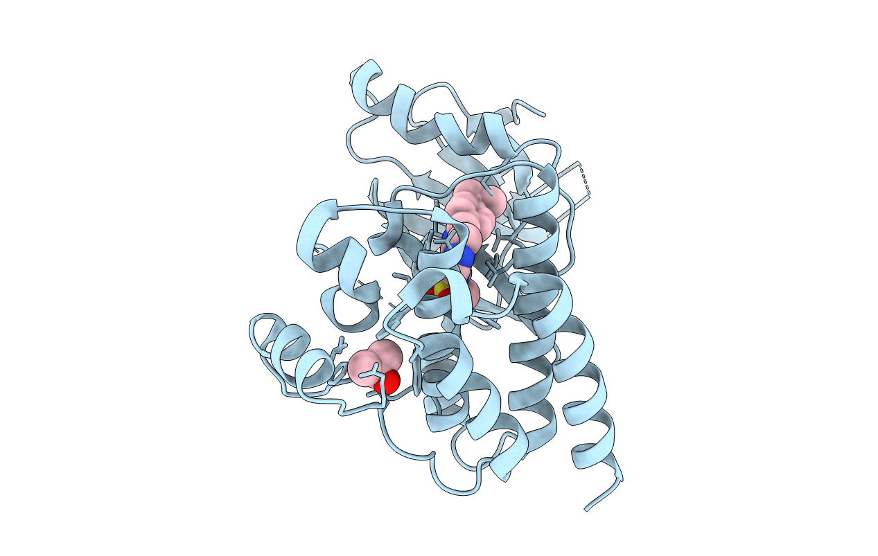 4I4F image
