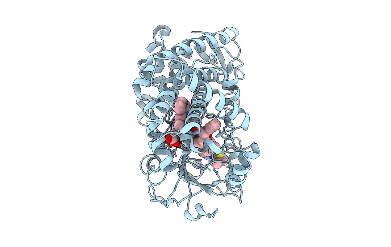 4I4H image