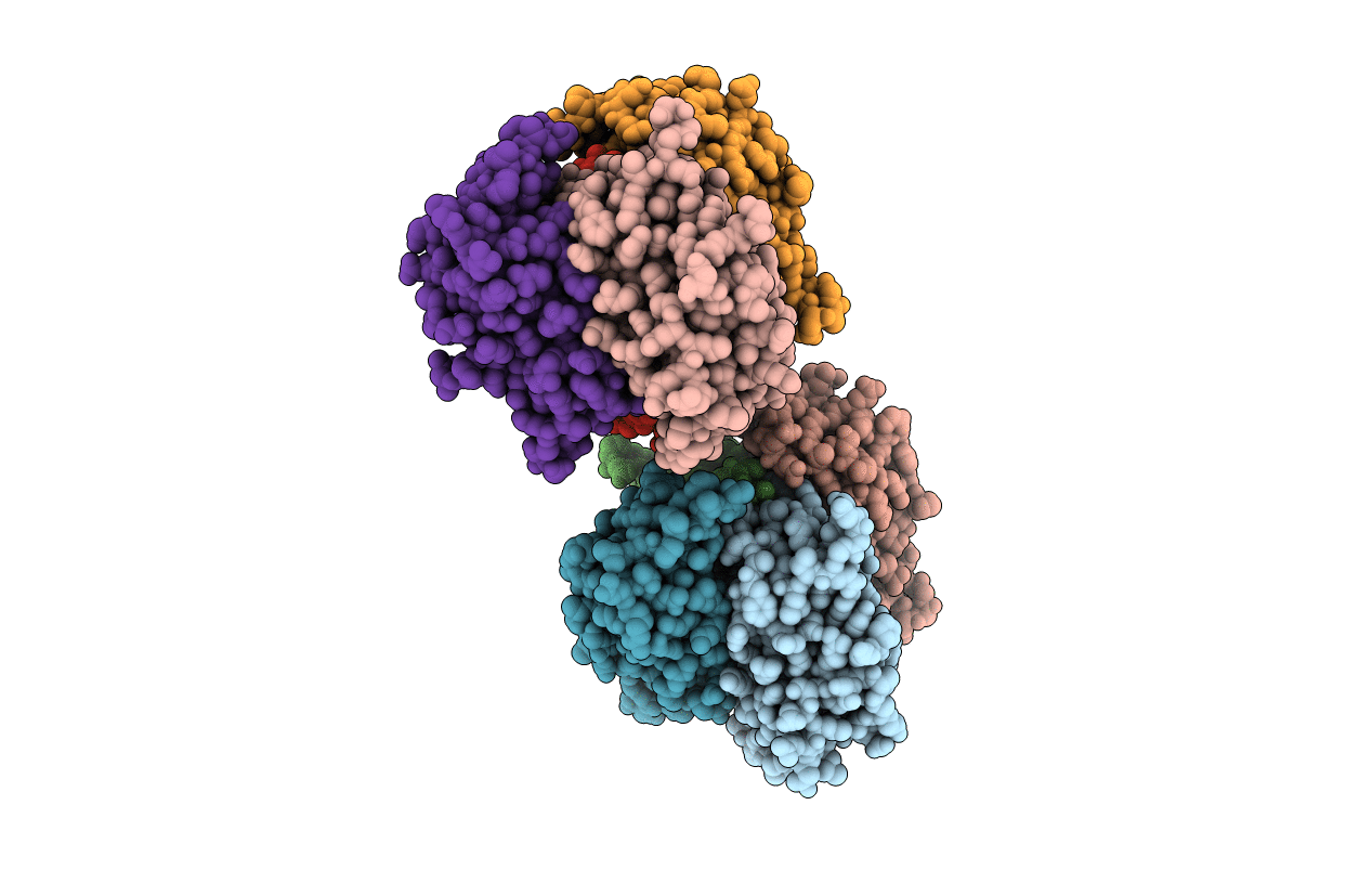 4I4J image