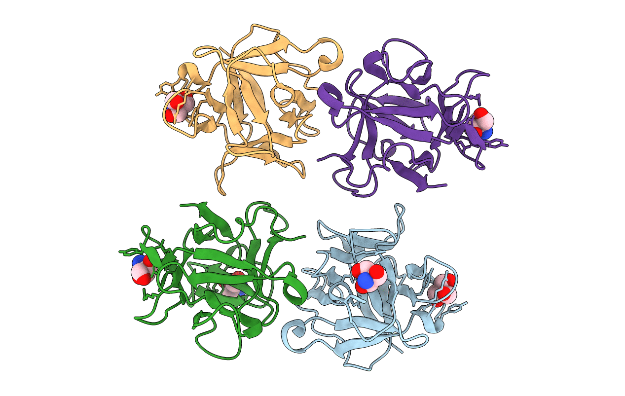 4I4R image