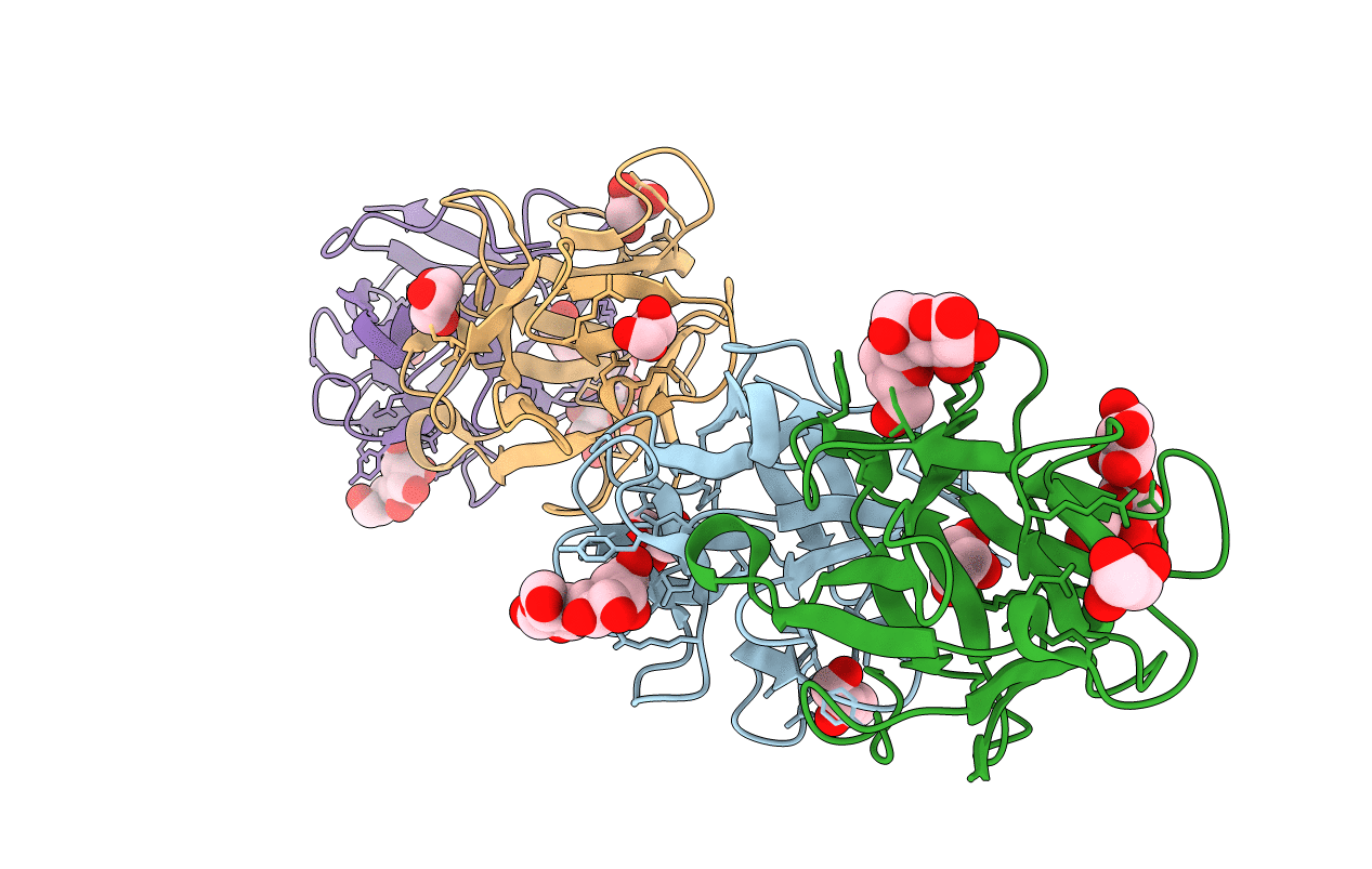 4I4S image