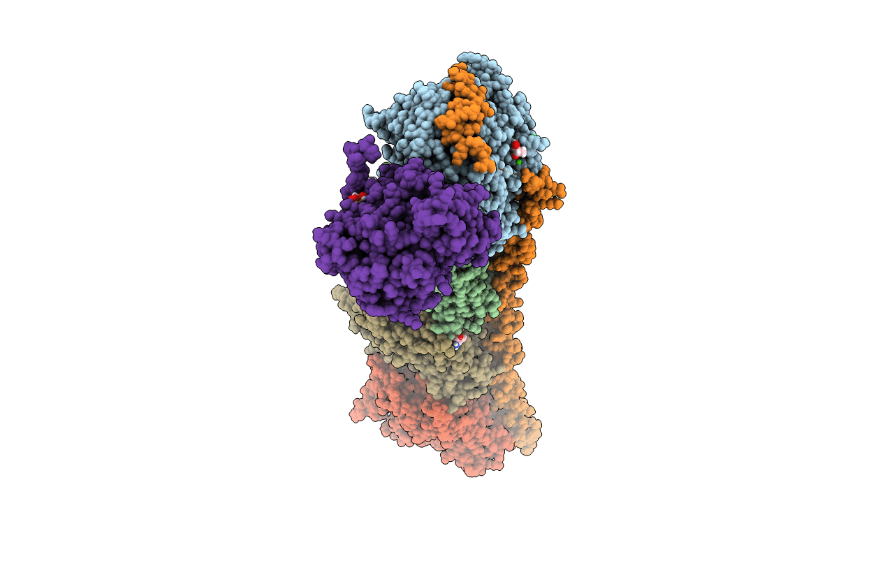 4I4T image