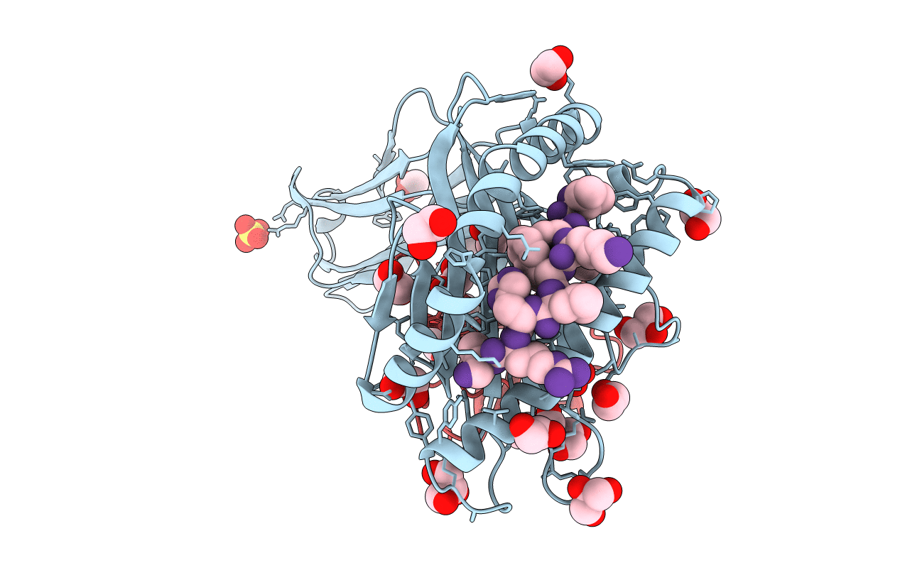 4I4W image
