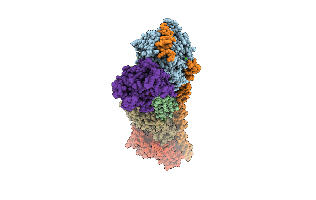 4I50 image