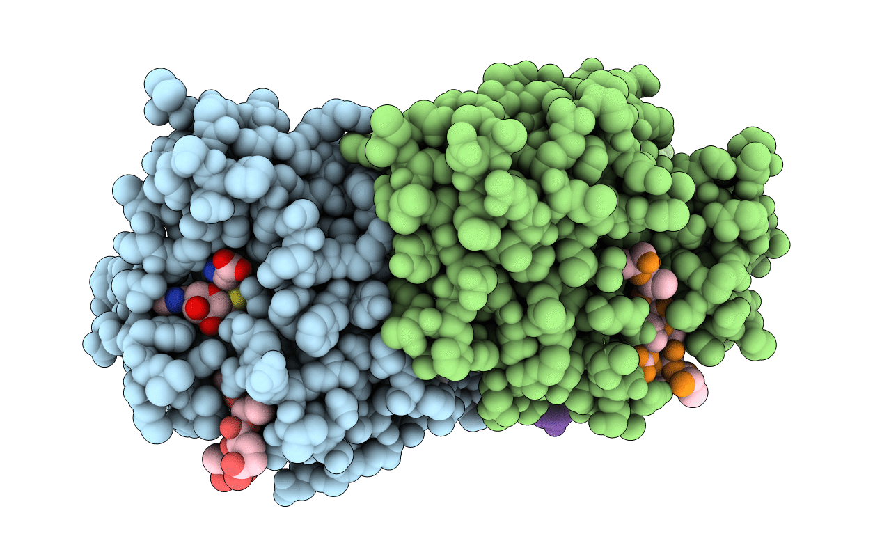4I51 image