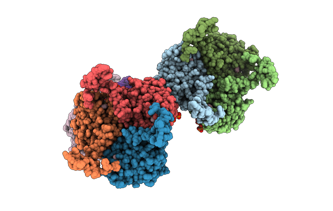 4I52 image