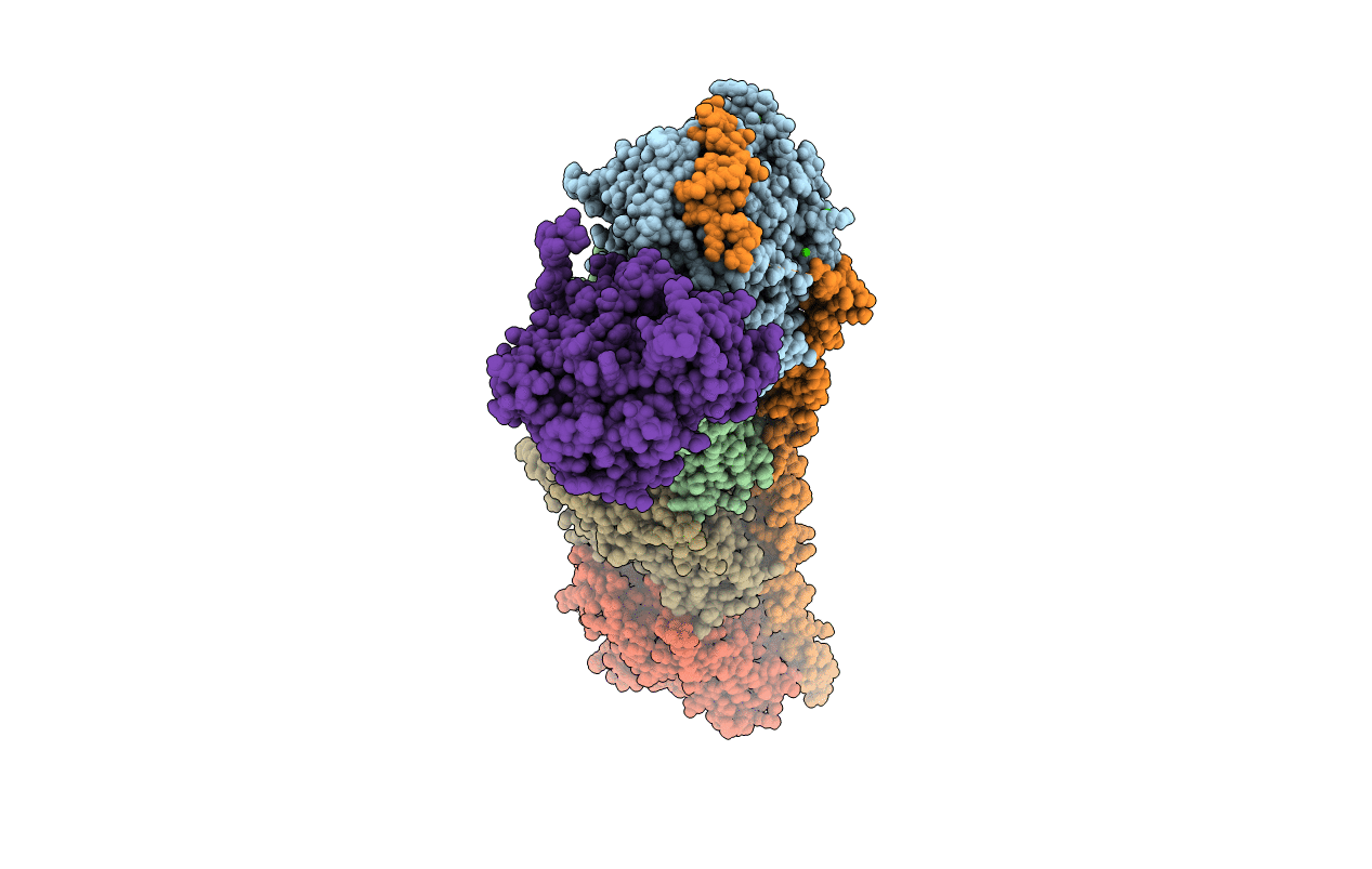 4I55 image