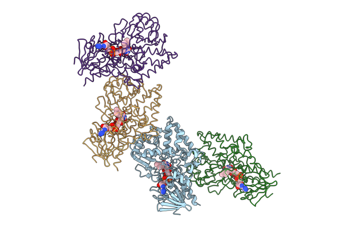 4I58 image