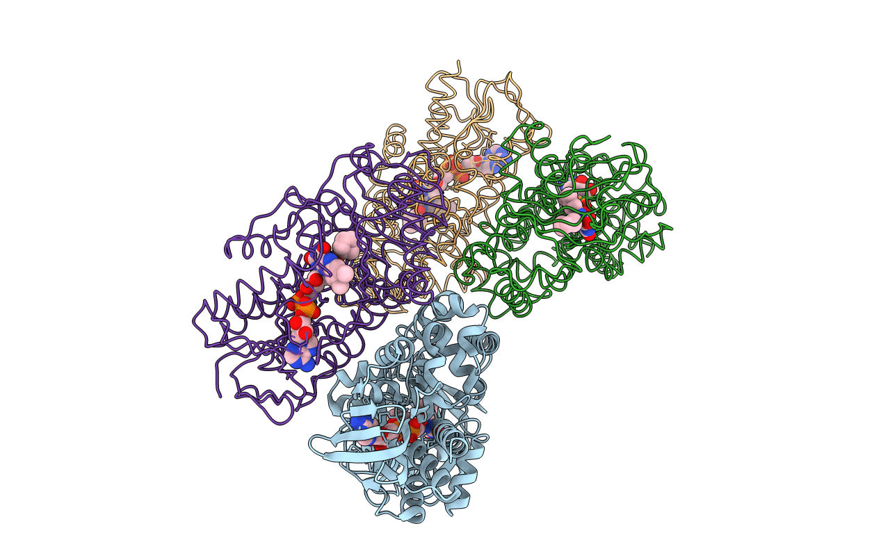 4I59 image