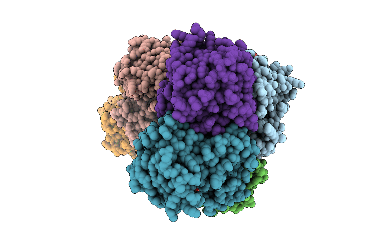 4I5D image