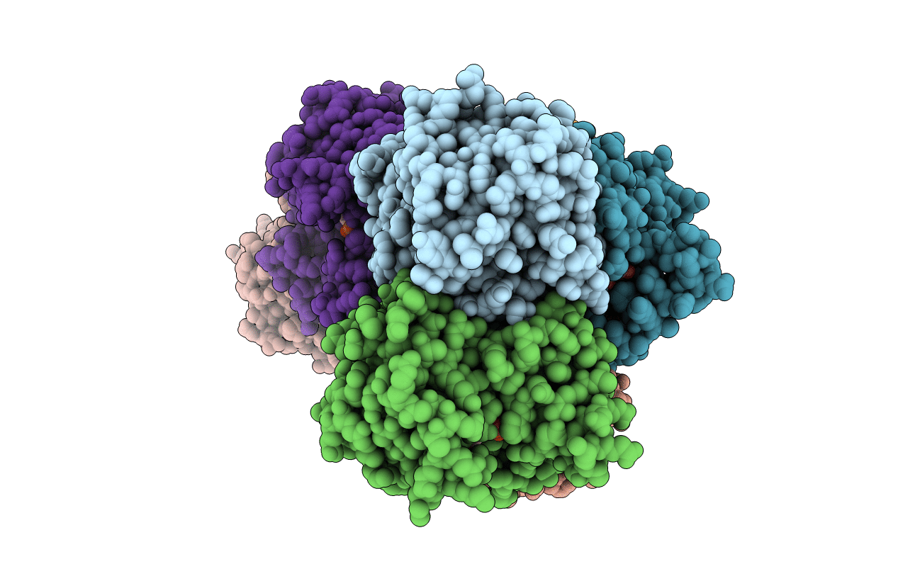 4I5E image