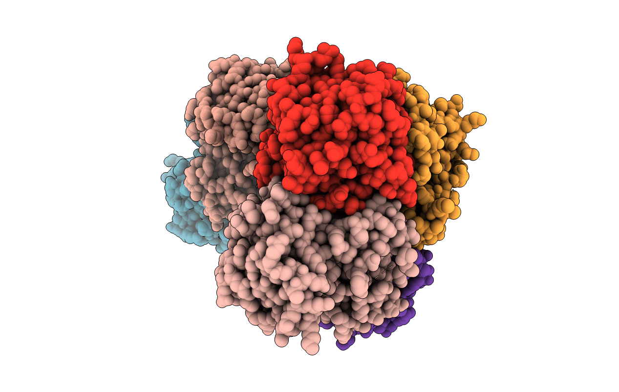 4I5F image