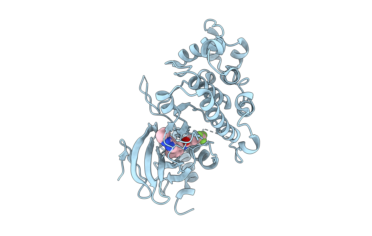 4I5H image