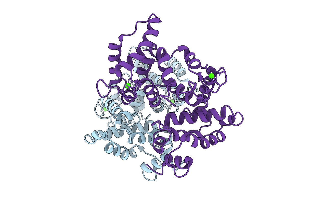 4I5K image