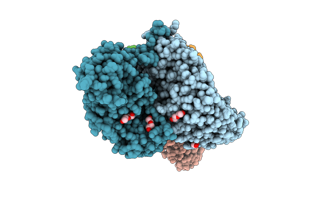 4I5L image