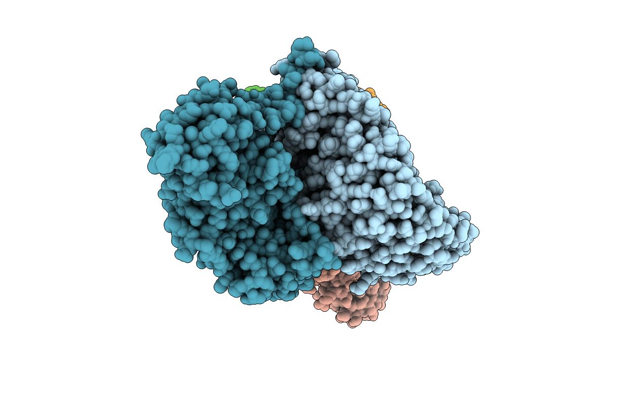 4I5N image