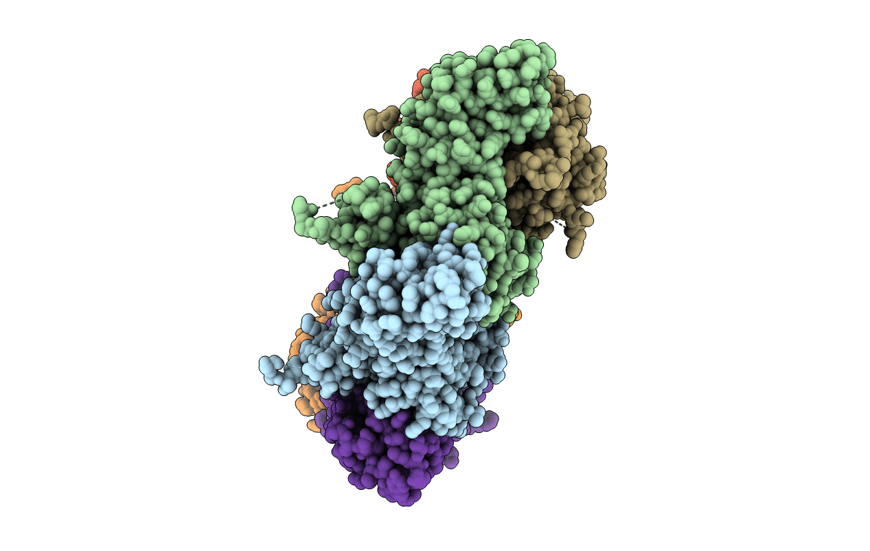 4I5O image