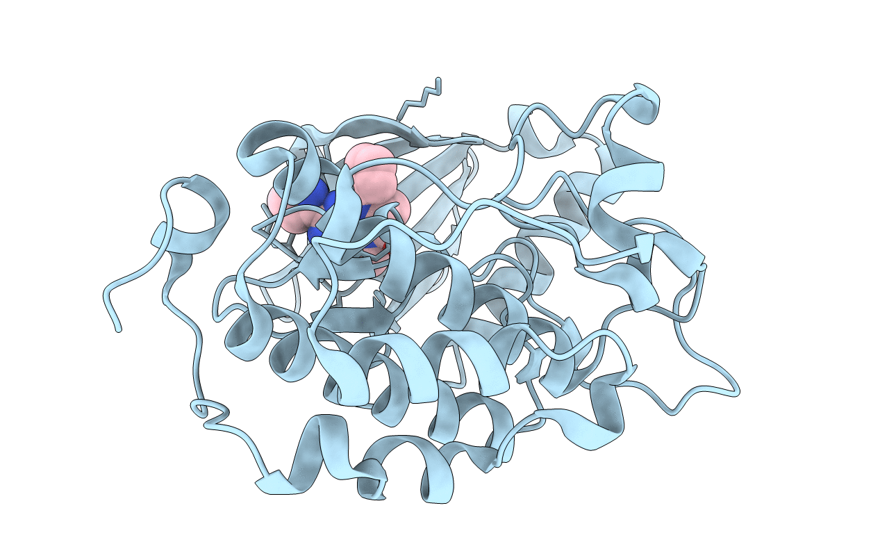 4I5P image