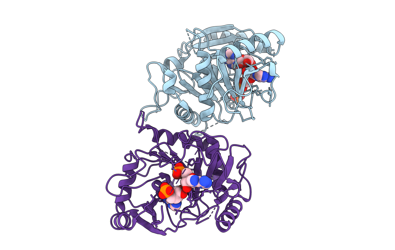 4I5W image