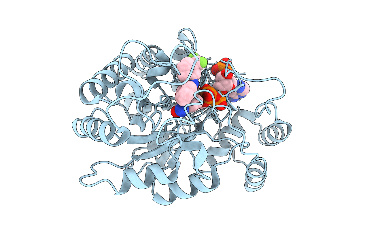 4I5X image