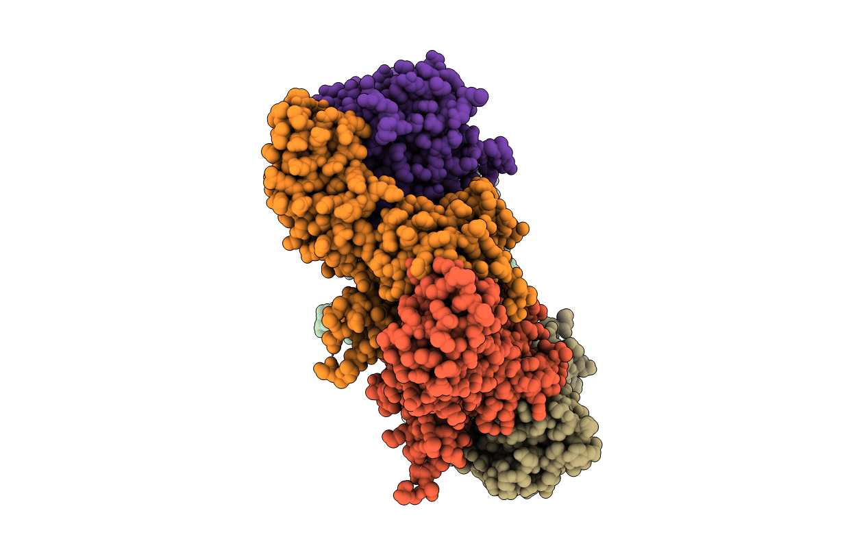 4I63 image