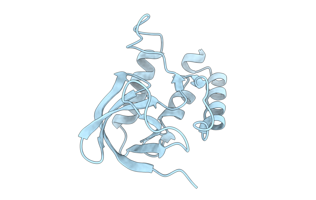 4I65 image