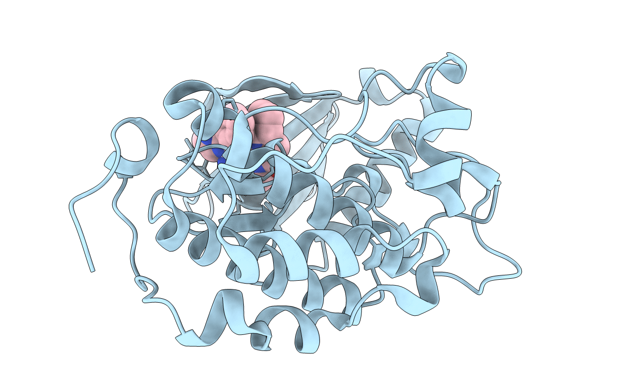 4I6F image