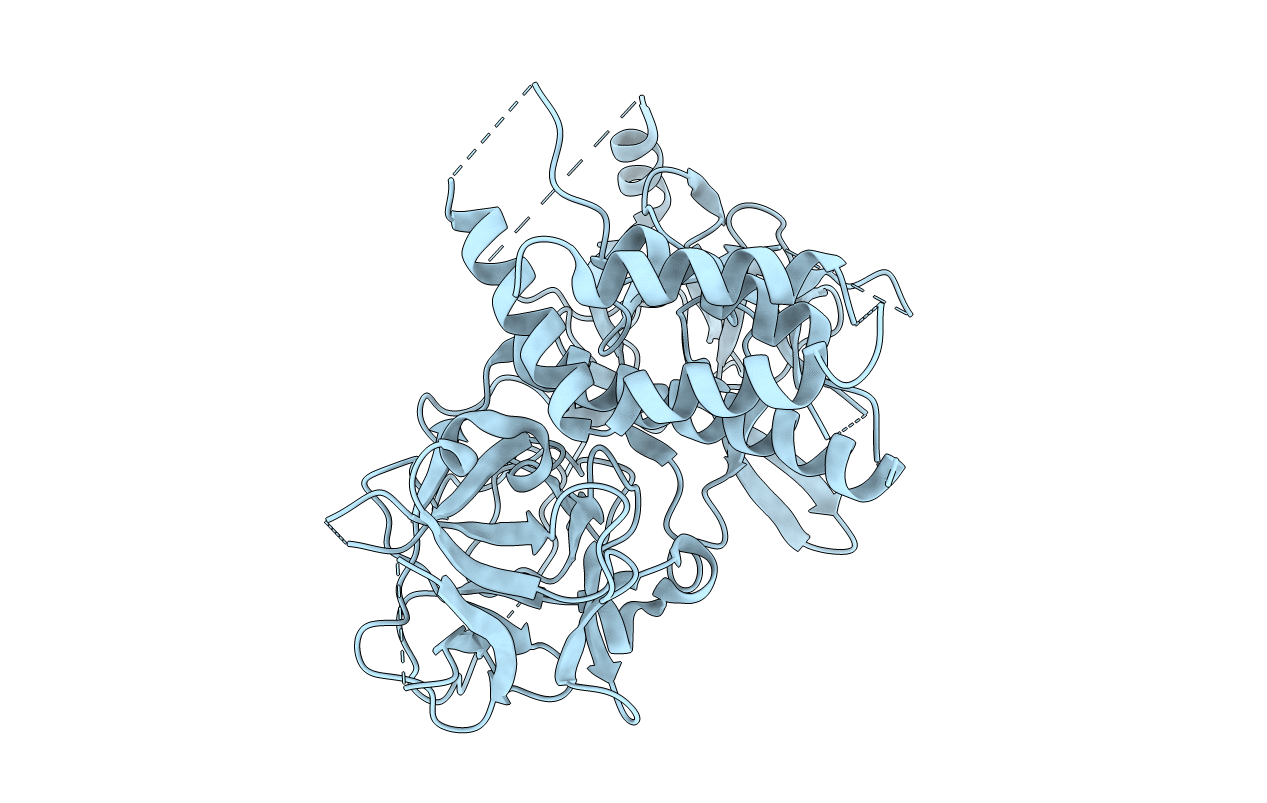 4I6I image