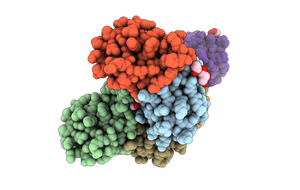 4I6U image