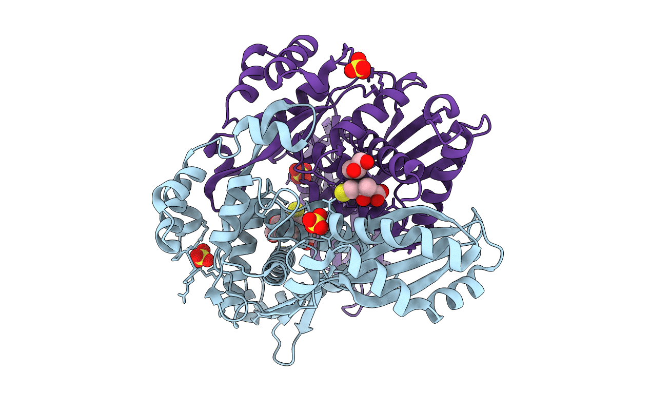 4I6W image