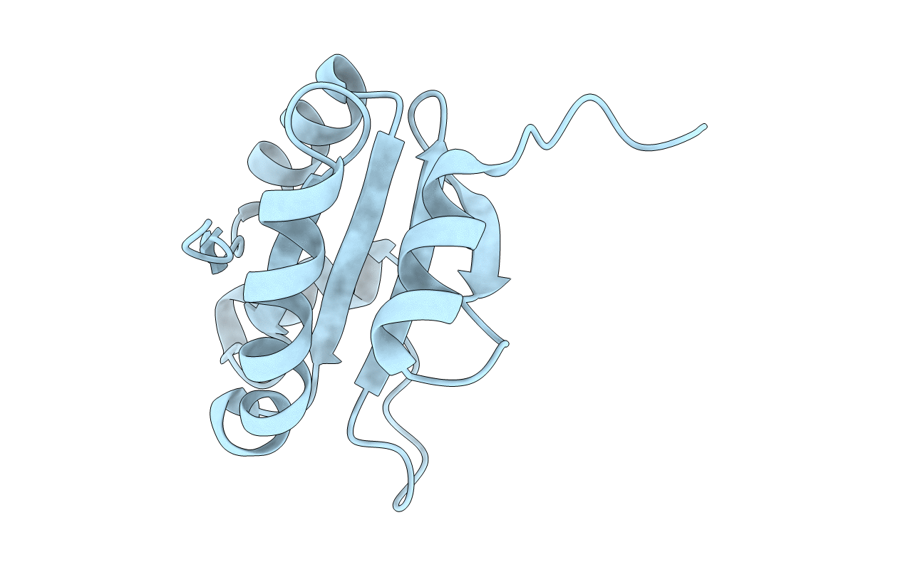 4I6X image